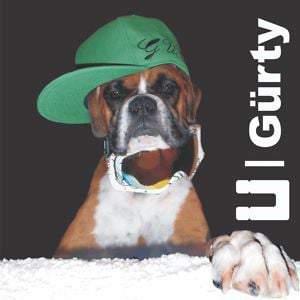 Profile picture for Gurty Boarding Company