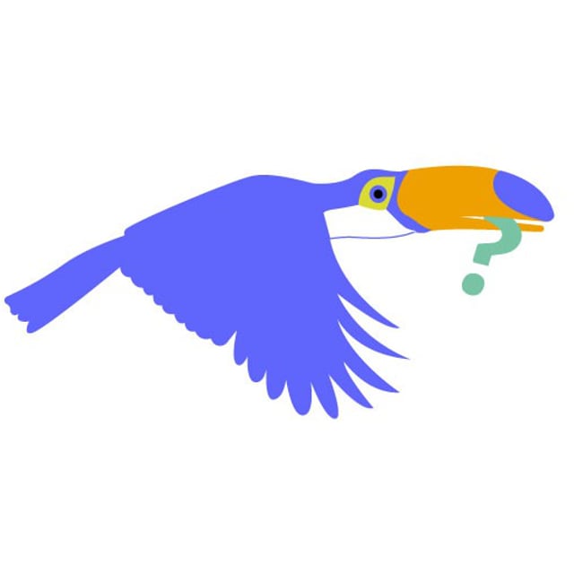 Pelico Par Le Monde