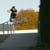 Marco Moruzzi