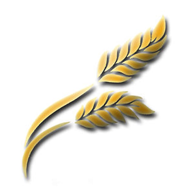 Prairie Baptist Church