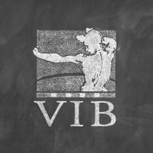 Profile picture for VIB