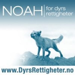 NOAH - For Dyrs Rettigheter On Vimeo