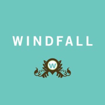 Vimeo profile picture for @windfall