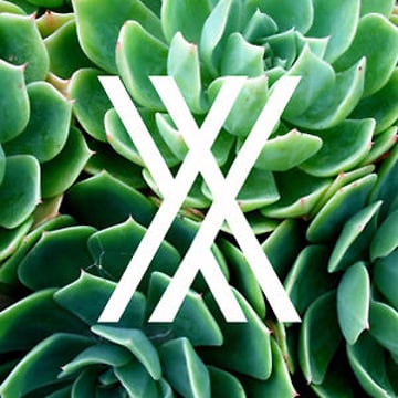 Vimeo profile picture for @hullo