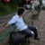 Agni sarkar