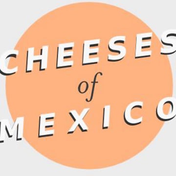 Vimeo profile picture for @cheeses