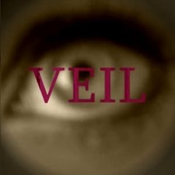 Vimeo profile picture for @veil
