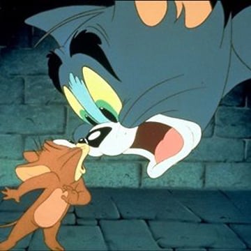 Vimeo profile picture for @tomjerry