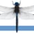 Dragonfly Documentaries