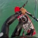 Hawaii Kitesurf
