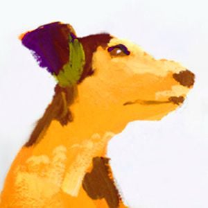 Profile picture for Kwak.hj