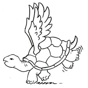 Profile picture for TurtleDoveFilms