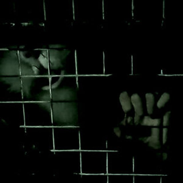 Rabbit in the Headlights