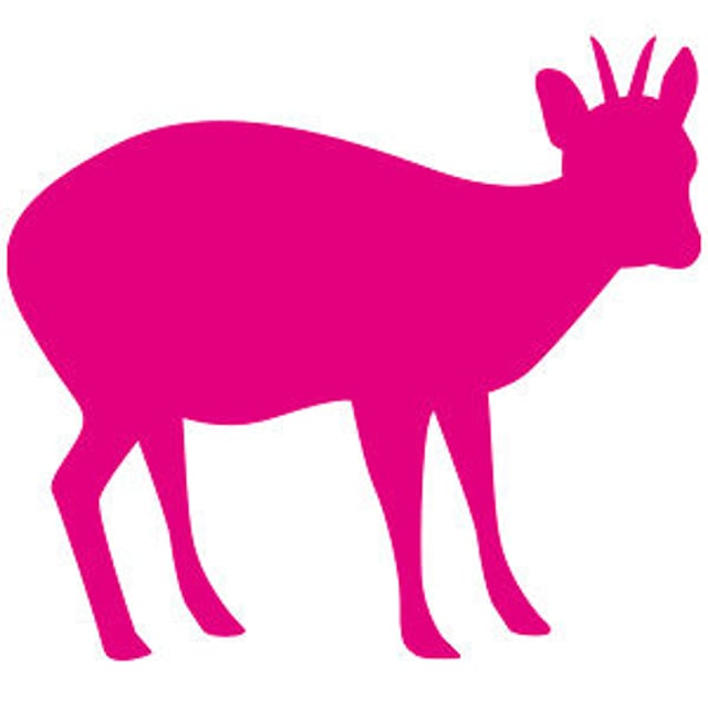 Pudú Pudú