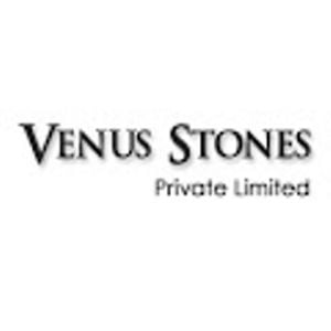 Profile picture for VenusStone