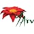 Young Asia Television