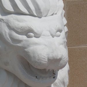 Profile picture for WCTV-Churchill High School
