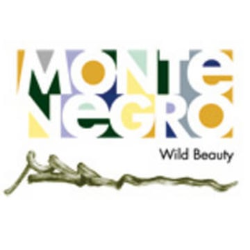 Vimeo profile picture for @montenegro