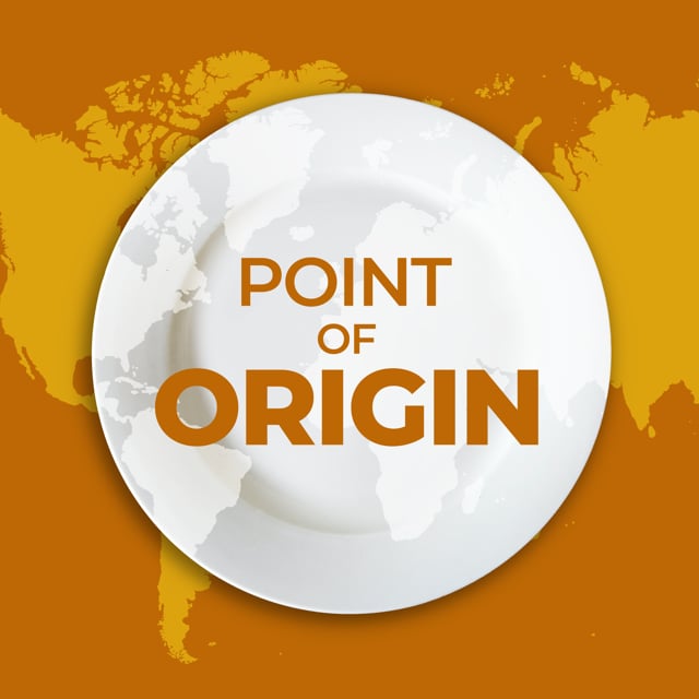 point of origin - перевод