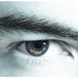 Profile picture for Vega Li