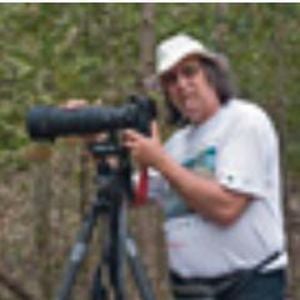 Profile picture for Peter Pauer