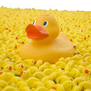 Profile picture for Sittingduckscomedy