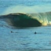 Ross Johns