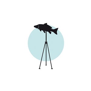 Profile picture for friedfisch