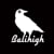 Balihigh Aerial Media