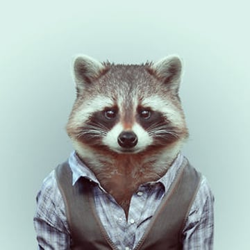 Vimeo profile picture for @shoemaker