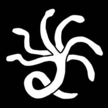 Vimeo profile picture for @hydra