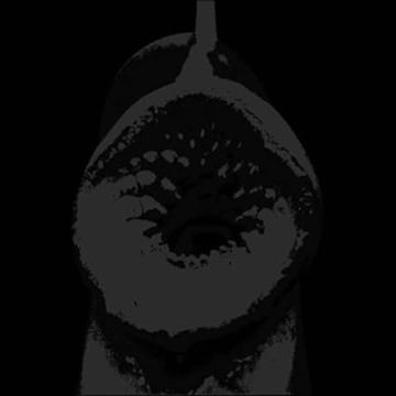 Vimeo profile picture for @cartouche