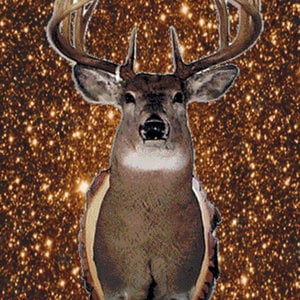Profile picture for Jakub Musil