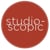 STUDIOSCOPIC