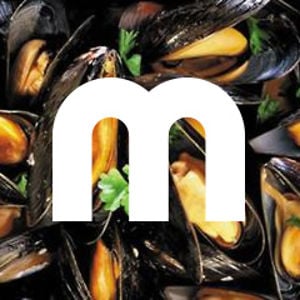 Profile picture for Maarten De Schrijver