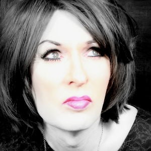 Profile picture for Cindy Stern