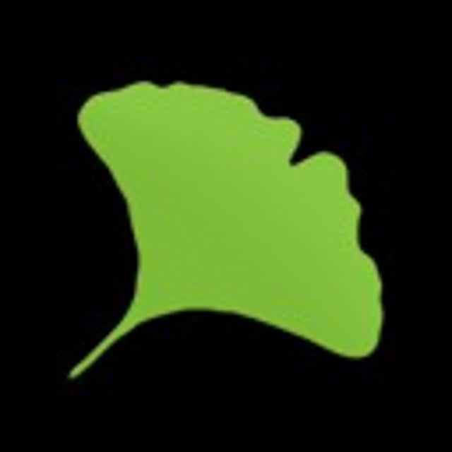 Gingko Writer