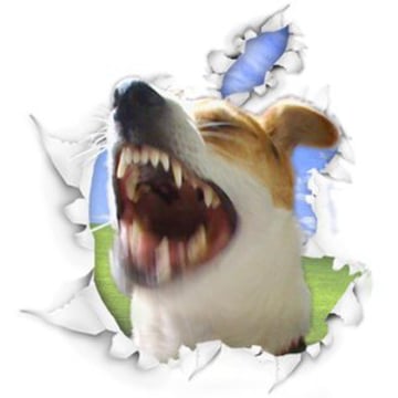 Vimeo profile picture for @daisy