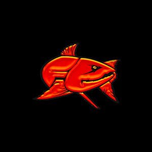 Profile picture for Fish Enchantment