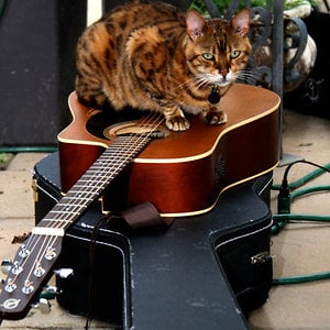 Profile picture for EarResponsible Recording