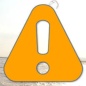 Profile picture for SafetyFirst
