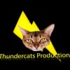 Thunder Cats Productions