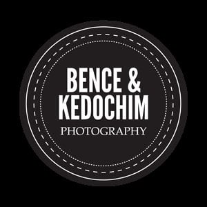 Profile picture for Bence Kedochim