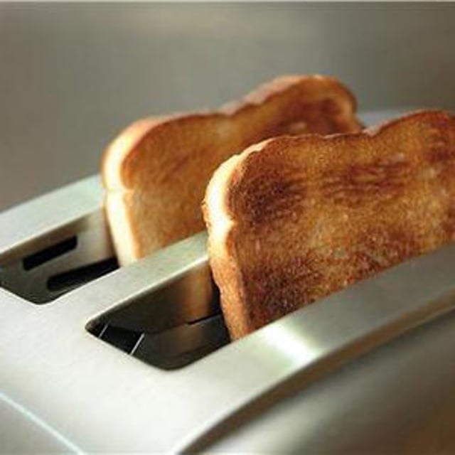 time travelling toaster