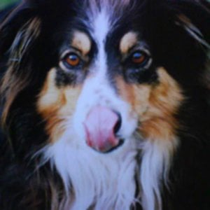 Profile picture for michelalbert