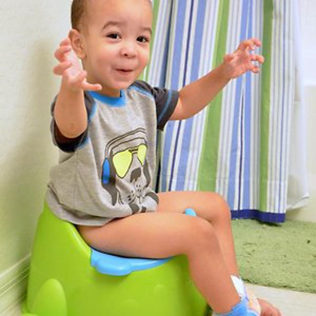 Potty Training Nation