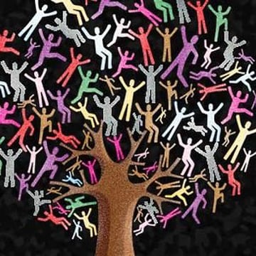 Vimeo profile picture for @sociology