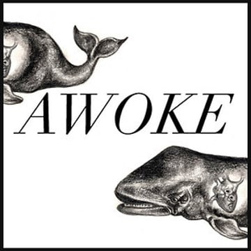 Vimeo profile picture for @awoke