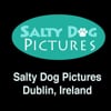 Salty Dog Pictures