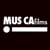 muscafilms